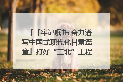 「牢记嘱托 奋力谱写中国式现代化甘肃篇章」打好“三北”工程攻坚战 筑牢国家西部生态安全屏障