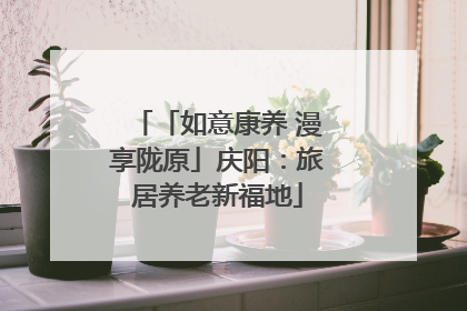 「如意康养 漫享陇原」庆阳：旅居养老新福地