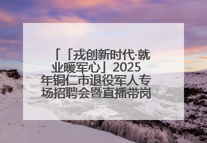 「戎创新时代·就业暖军心」2025年铜仁市退役军人专场招聘会暨直播带岗活动顺利举行