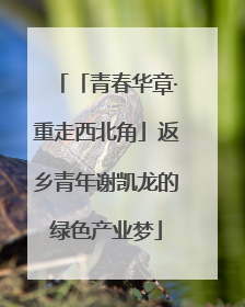 「青春华章·重走西北角」返乡青年谢凯龙的绿色产业梦