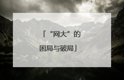 “网大”的困局与破局
