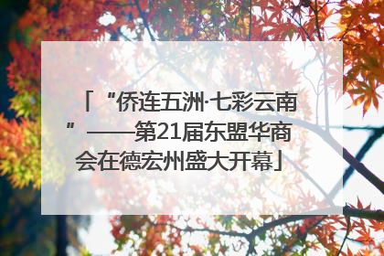 “侨连五洲·七彩云南”——第21届东盟华商会在德宏州盛大开幕