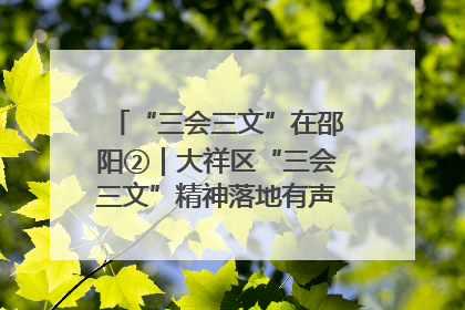 “三会三文”在邵阳②｜大祥区“三会三文”精神落地有声 以实干实绩助力区域高质量发展