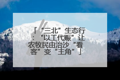 “三北”生态行：“以工代赈”让农牧民由治沙“看客”变“主角”