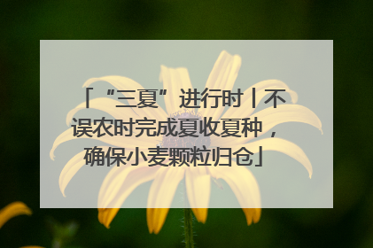 “三夏”进行时丨不误农时完成夏收夏种，确保小麦颗粒归仓
