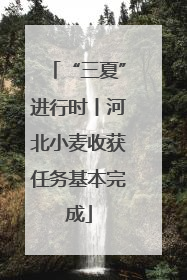 “三夏”进行时丨河北小麦收获任务基本完成