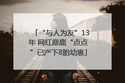 “与人为友”13年 网红麋鹿“点点”已产下8胎幼崽
