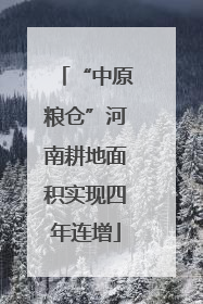 “中原粮仓”河南耕地面积实现四年连增