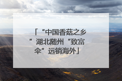 “中国香菇之乡”湖北随州“致富伞”远销海外