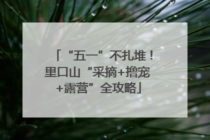 “五一”不扎堆！里口山“采摘+撸宠+露营”全攻略