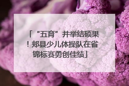 “五育”并举结硕果！郏县少儿体操队在省锦标赛勇创佳绩