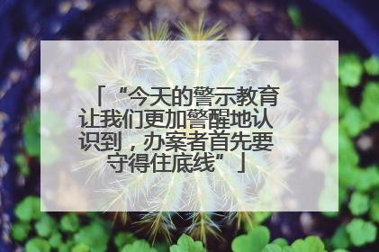 “今天的警示教育让我们更加警醒地认识到，办案者首先要守得住底线”