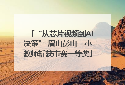 “从芯片视频到AI决策” 眉山彭山一小教师斩获市赛一等奖