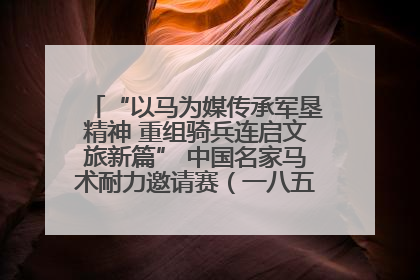 “以马为媒传承军垦精神 重组骑兵连启文旅新篇” 中国名家马术耐力邀请赛（一八五团站）暨重启骑兵连活动正式启动