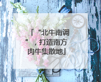 “北牛南调”，打造南方肉牛集散地