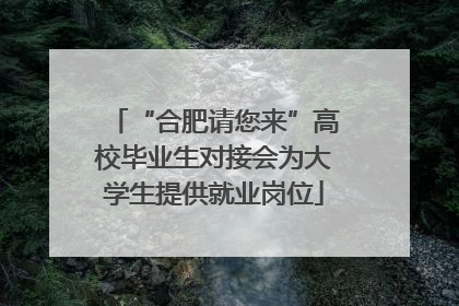 “合肥请您来”高校毕业生对接会为大学生提供就业岗位