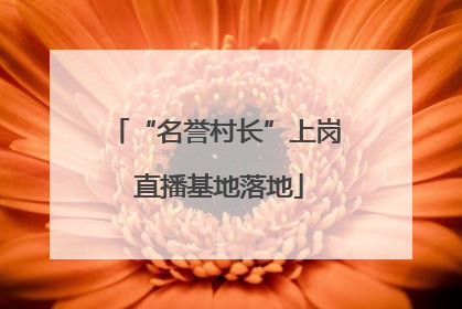“名誉村长”上岗 直播基地落地