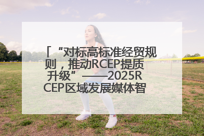 “对标高标准经贸规则，推动RCEP提质升级”——2025RCEP区域发展媒体智库论坛举行专题对话