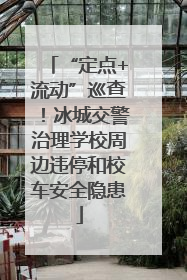 “定点+流动”巡查！冰城交警治理学校周边违停和校车安全隐患