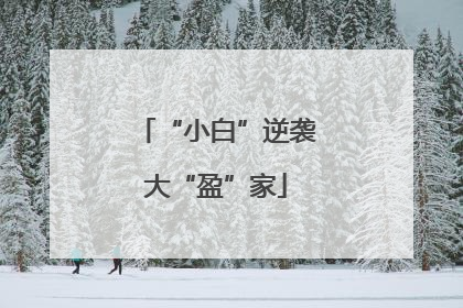 “小白”逆袭大“盈”家