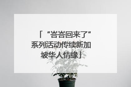 “峇峇回来了”系列活动传续新加坡华人情缘