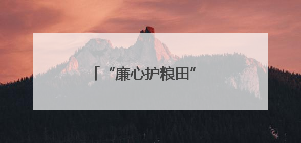 “廉心护粮田” 德阳广汉整治群腐问题筑牢民生底线
