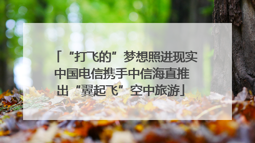 “打飞的”梦想照进现实 中国电信携手中信海直推出“翼起飞”空中旅游