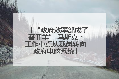 “政府效率部成了替罪羊” 马斯克：工作重点从裁员转向政府电脑系统