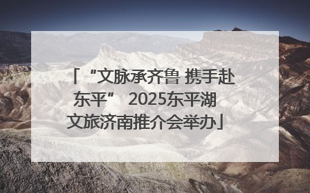 “文脉承齐鲁 携手赴东平” 2025东平湖文旅济南推介会举办