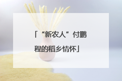 “新农人”付鹏程的稻乡情怀