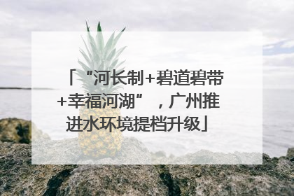 “河长制+碧道碧带+幸福河湖”，广州推进水环境提档升级