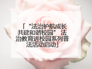 “法治护航成长 共建和谐校园” 法治教育进校园系列普法活动启动