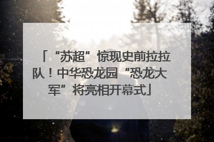 “苏超”惊现史前拉拉队！中华恐龙园“恐龙大军”将亮相开幕式