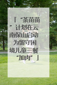 “茶苗苗”计划在云南保山启动 为留守困境儿童三餐“加肉”