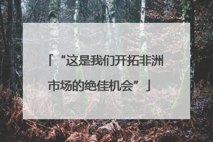 “这是我们开拓非洲市场的绝佳机会”