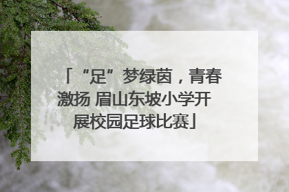 “足”梦绿茵，青春激扬 眉山东坡小学开展校园足球比赛