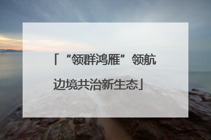 “领群鸿雁”领航边境共治新生态