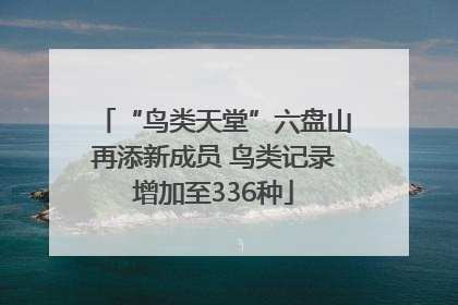 “鸟类天堂”六盘山再添新成员 鸟类记录增加至336种