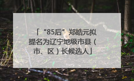 “85后”郑皓元拟提名为辽宁地级市县（市、区）长候选人