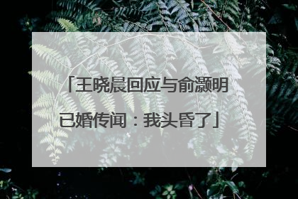 王晓晨回应与俞灏明已婚传闻：我头昏了
