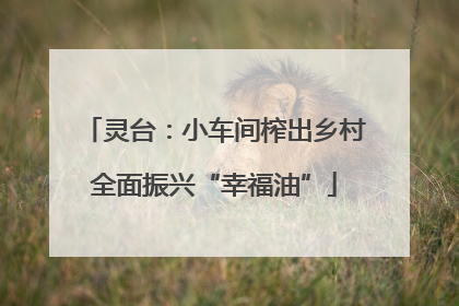 灵台：小车间榨出乡村全面振兴“幸福油”