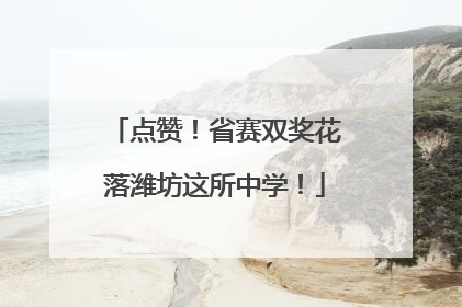 点赞！省赛双奖花落潍坊这所中学！