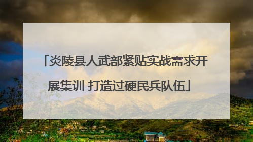 炎陵县人武部紧贴实战需求开展集训 打造过硬民兵队伍