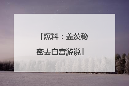 爆料：盖茨秘密去白宫游说