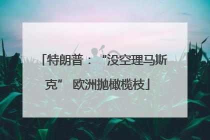 特朗普：“没空理马斯克” 欧洲抛橄榄枝