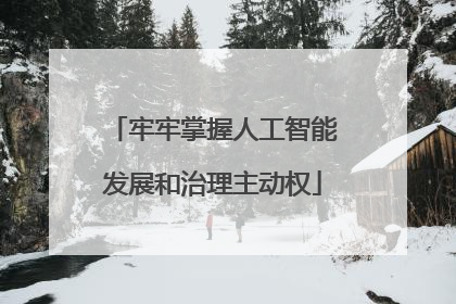 牢牢掌握人工智能发展和治理主动权