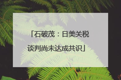 石破茂：日美关税谈判尚未达成共识