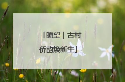 瞭望｜古村侨韵焕新生