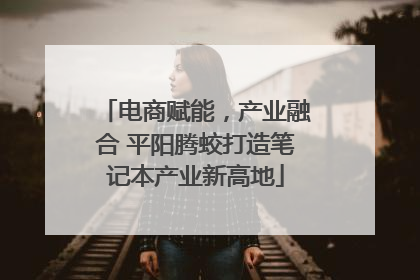 电商赋能，产业融合 平阳腾蛟打造笔记本产业新高地