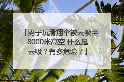 男子玩滑翔伞被云吸至8000米高空 什么是云吸？有多危险？